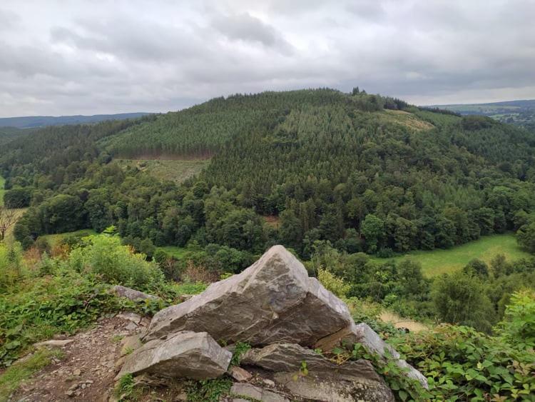 Gite De Charme Rosardenne Vaux-sur-Sure Exteriör bild