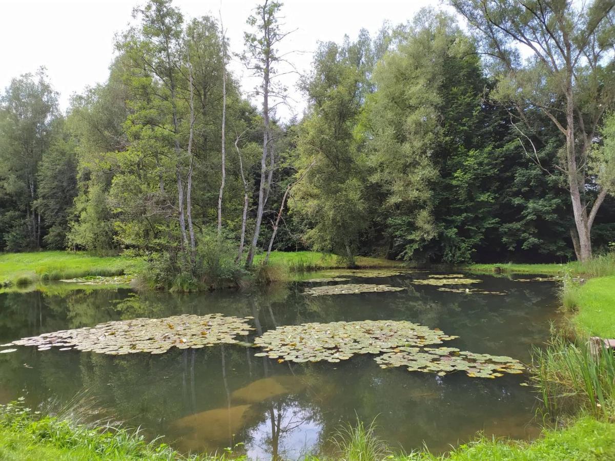 Gite De Charme Rosardenne Vaux-sur-Sure Exteriör bild