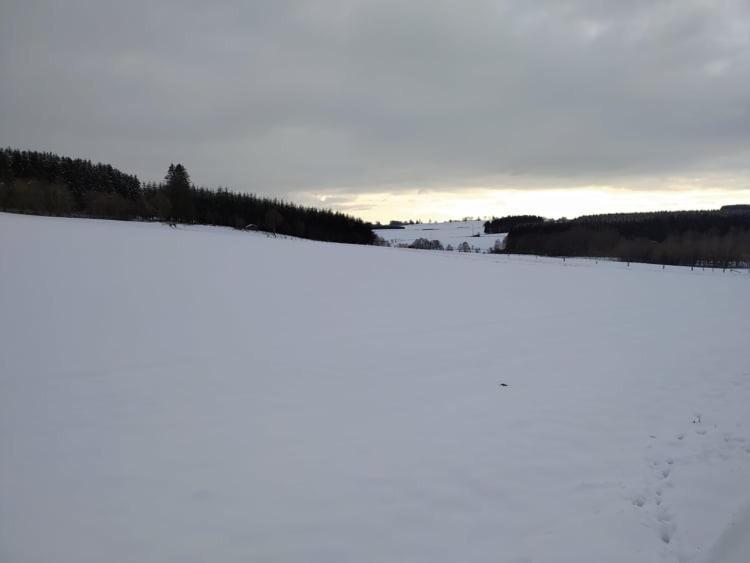 Gite De Charme Rosardenne Vaux-sur-Sure Exteriör bild